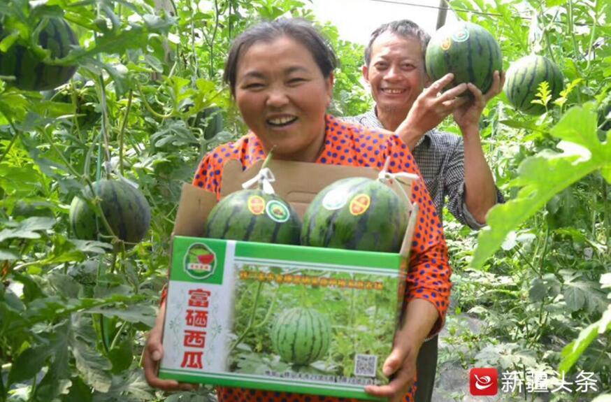 地方新闻 第12页